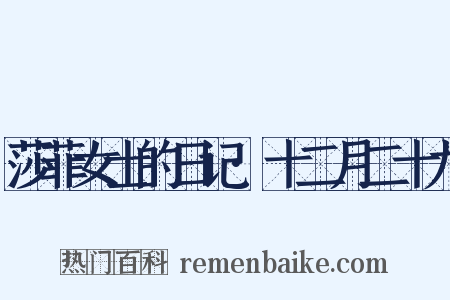 莎菲女士的日记·十二月二十九是什么意思的图片